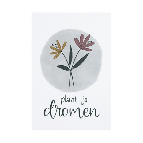 Ansichtkaart 100 x 148 mm met de tekst ‘Plant je dromen’