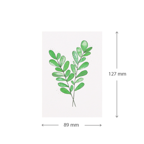 Groen blad| 89 x 127 mm | Maatgeving