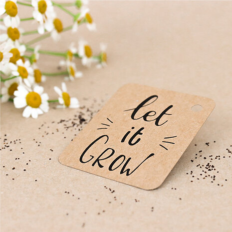 Sfeerfoto kraftlabel 50 x 60 mm met boorgat met de tekst 'Let it grow'